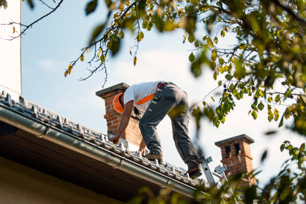 Best Local Roofing Companies  in Stoneville, NC